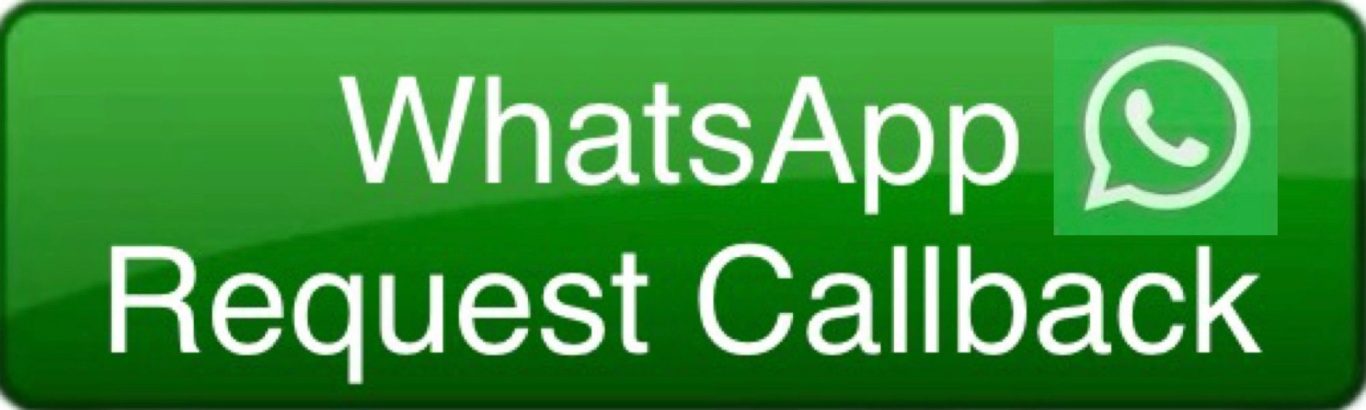 WhatsApp logo button